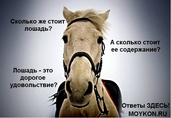 сонник