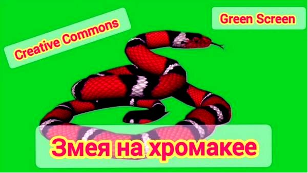толкование снов