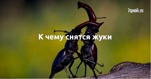толкование