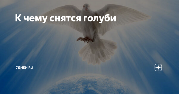 сон