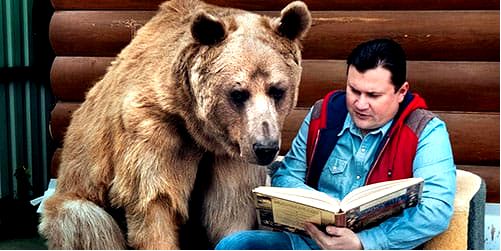 дом