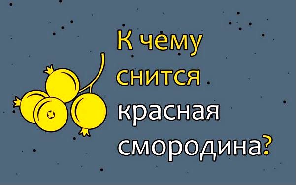 толкование