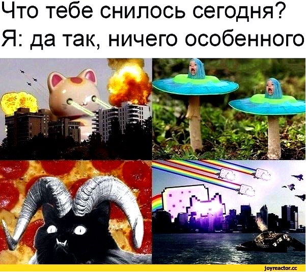 что означает