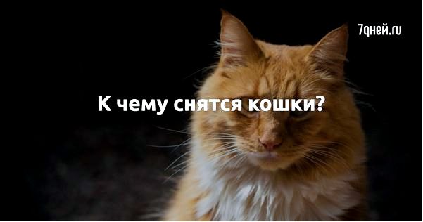 значение