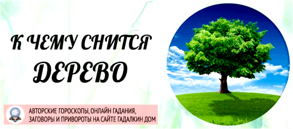 сонник