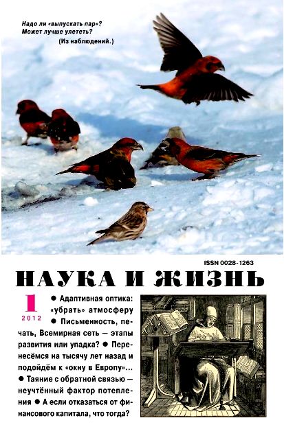 красный перец