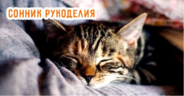 сновидения