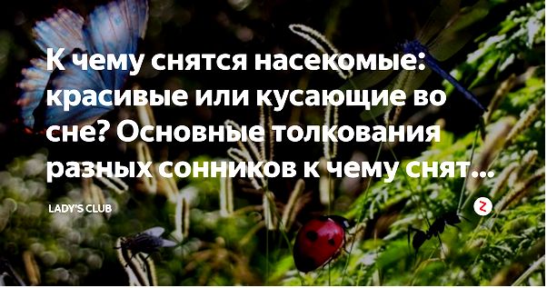 здоровье здоровье