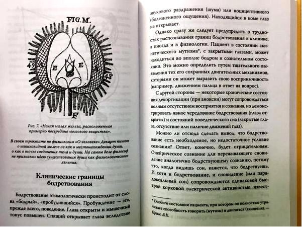 символика во сне