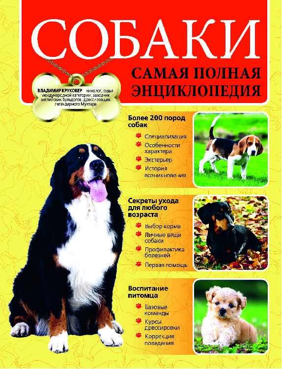 собака собака