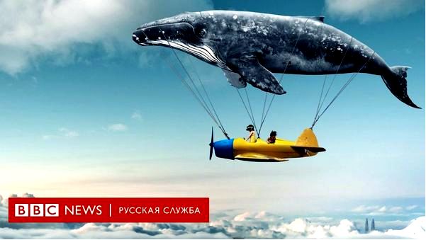 сновидение