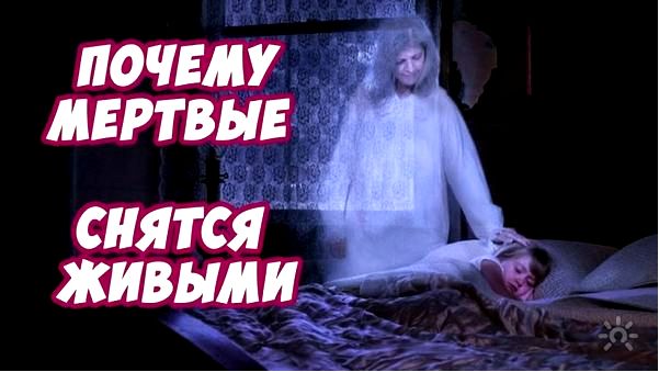 белый цвет