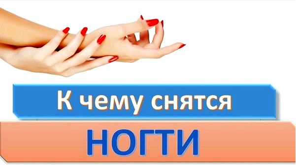 когти когти
