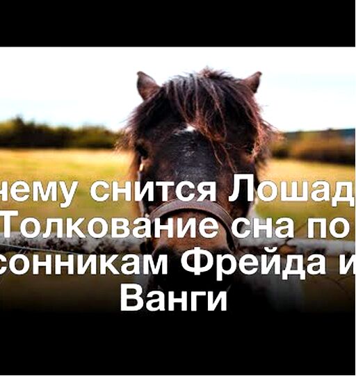 символика