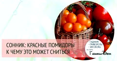 помидоры