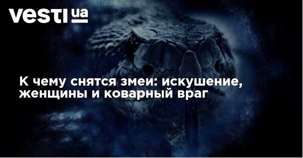 толкование толкование