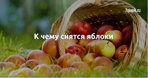 толкование сновидений толкование сновидений