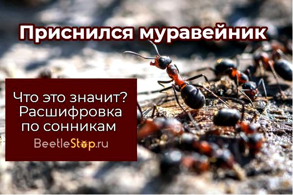 толкование