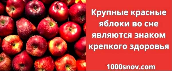 снилось снилось