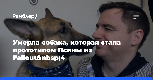 сонник сонник